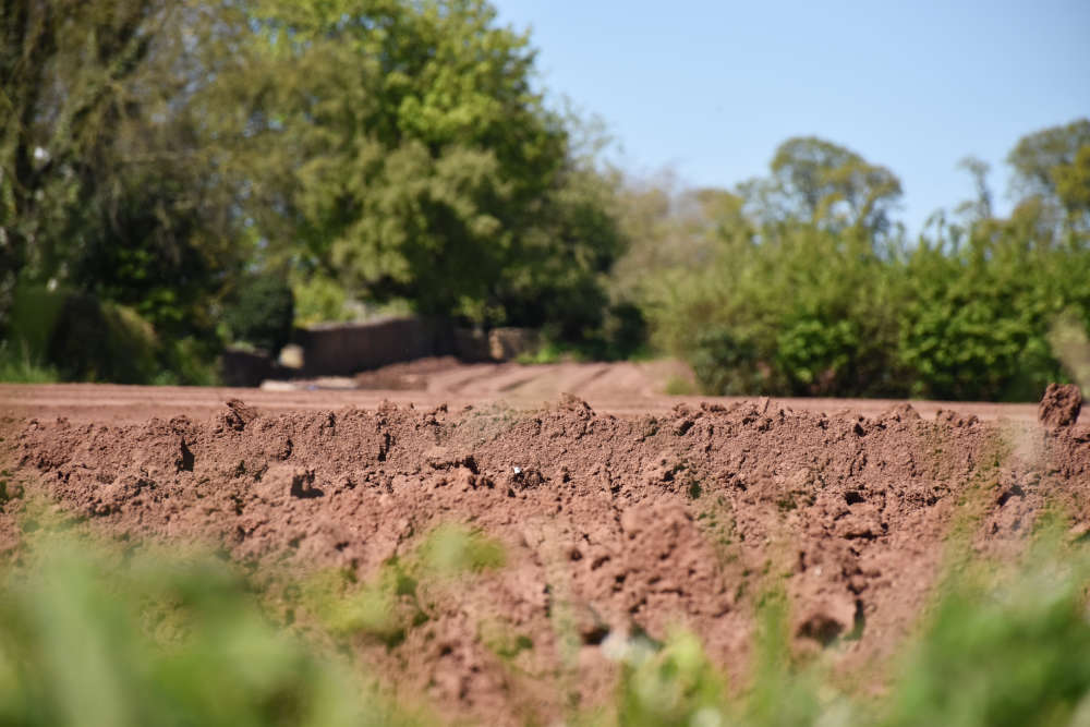 Mass Grave